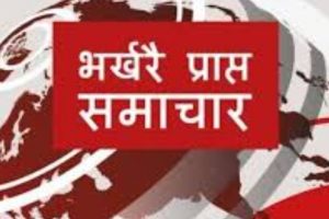 २४ घण्टामा ४१०७ जनामा कोरोना पुष्टि, नेपालमा पुनः दैनिक कोरोना संक्रमितको संख्या तीब्र