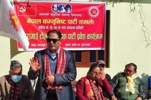 नेकपा एमाले बनेपा नगर कमिटीको सक्रियता तिब्र, टोल नै एमाले मय