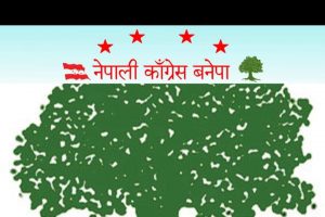 नेपाली काँग्रेस बनेपा नगर कार्यसमितिले गर्यो सदस्यहरु मनोनयन 