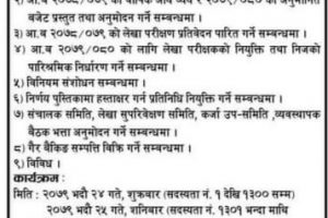 आवर स्ट्यान्डर्ड बचत तथा ऋण सहकारी संस्था लिमिटेडको दशौ  औं वार्षिक साधारण सभा सम्बन्धी सूचना