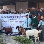 काभ्रेका बालबालिका पढ्दै अनि पैसा पनि कमाउदै