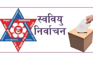 स्ववियु निर्वाचनमा होमिए विद्यार्थी-काभ्रेमा अनिश्चित