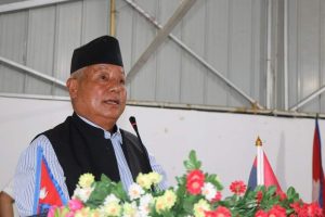 नमोबुद्ध नगरपालिकाले लम्पी स्किन पीडित कृषकलाई प्रतिभैसी ७ हजार र प्रति गाई ५ हजार राहत दिने
