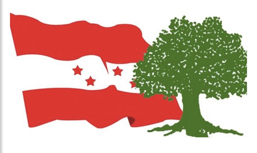 कांग्रेस केन्द्रीय कार्यसमिति बैठक स्थगित, मंसिर ४ मा सारियो