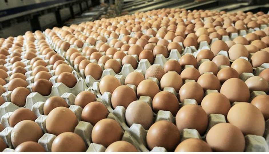 अण्डाको नयाँ मूल्य लागू