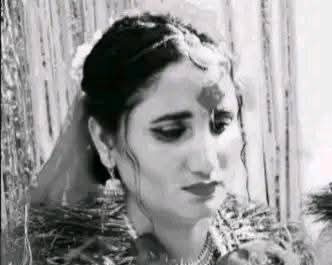 Websoft IT Nepal Pvt. Ltd.