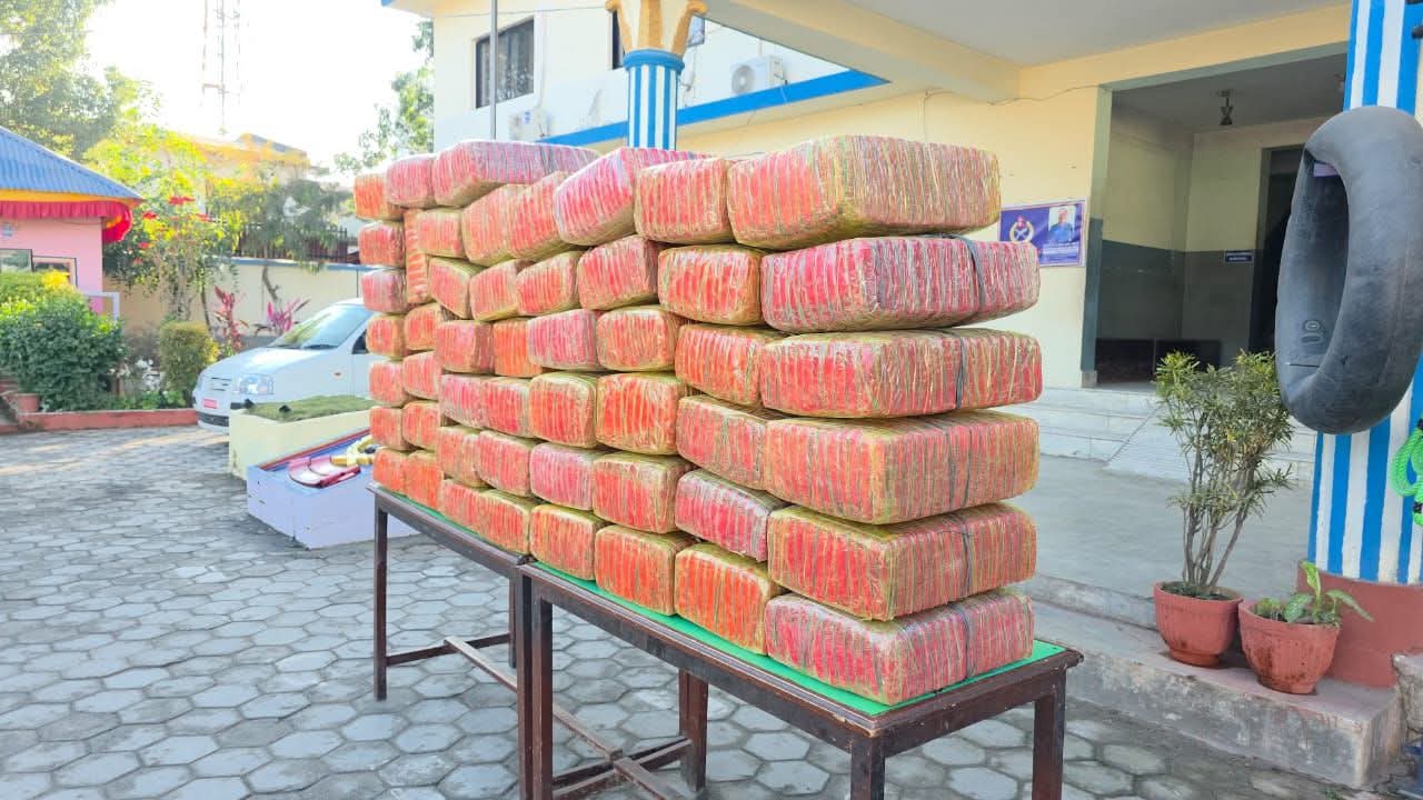 मकवानपुर प्रहरीद्वारा भिमफेदी गाउँपालिका वडा नम्बर–३ स्थित पान्द्राङबाट ४७० केजी गाँजा बरामद