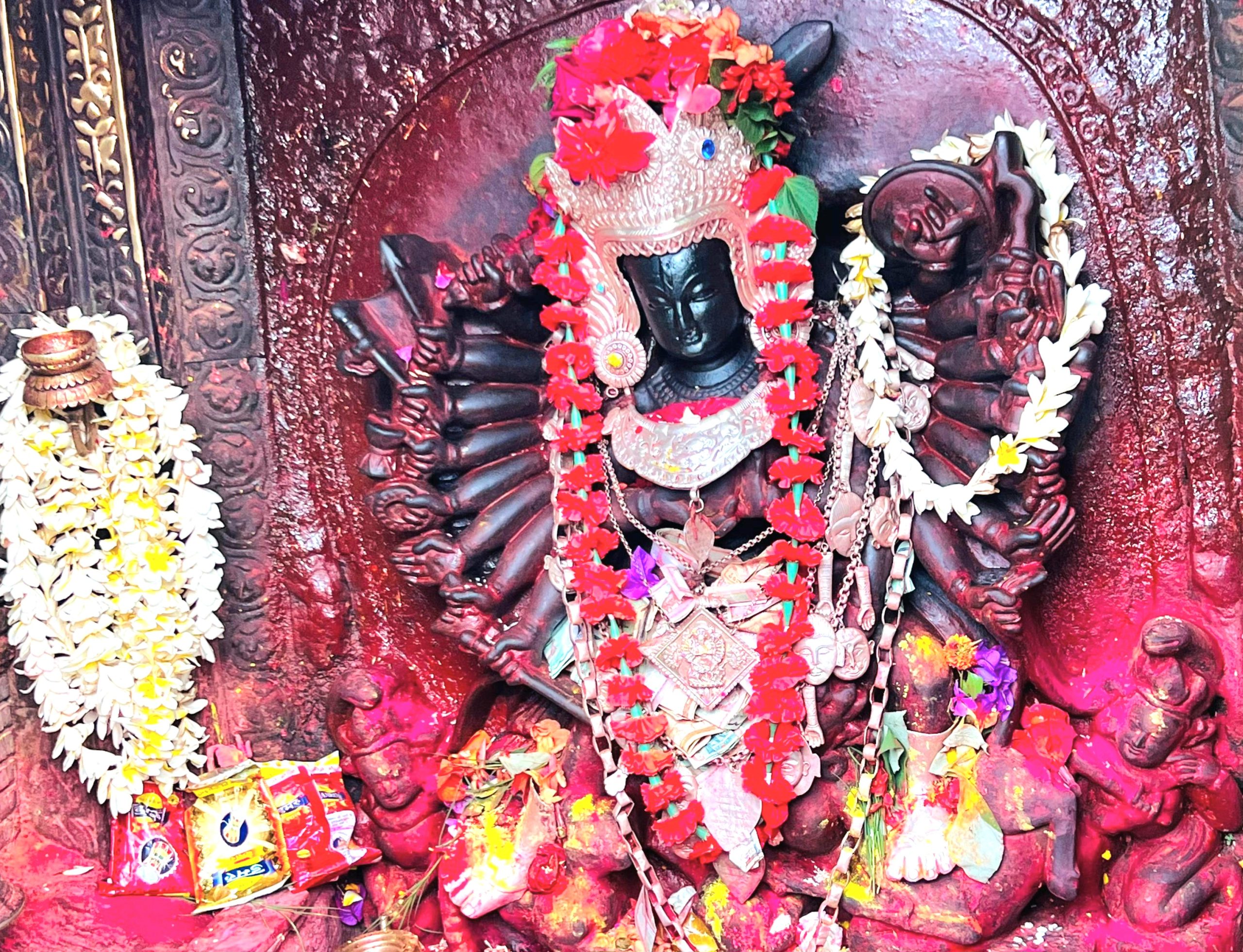 आज २०८२ साल मंसिर २४ गते बुधबार, आजको राशिफल कस्तो छ ?