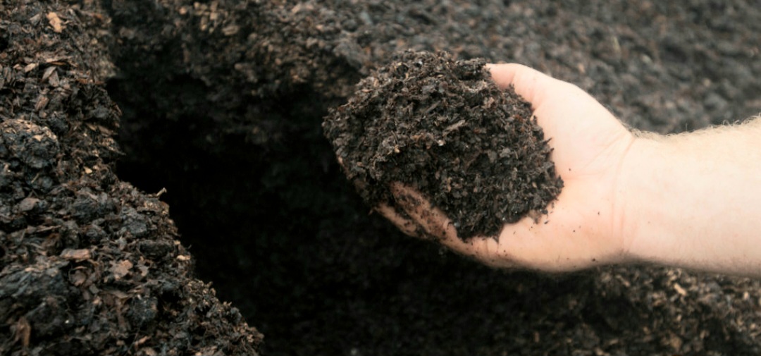 आज माटो दिवस, विविध कार्यक्रमगरी मनाइँदै