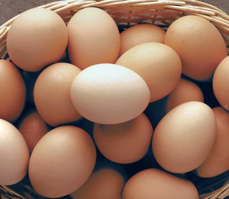 अण्डाको मूल्य हालसम्मकै उच्च