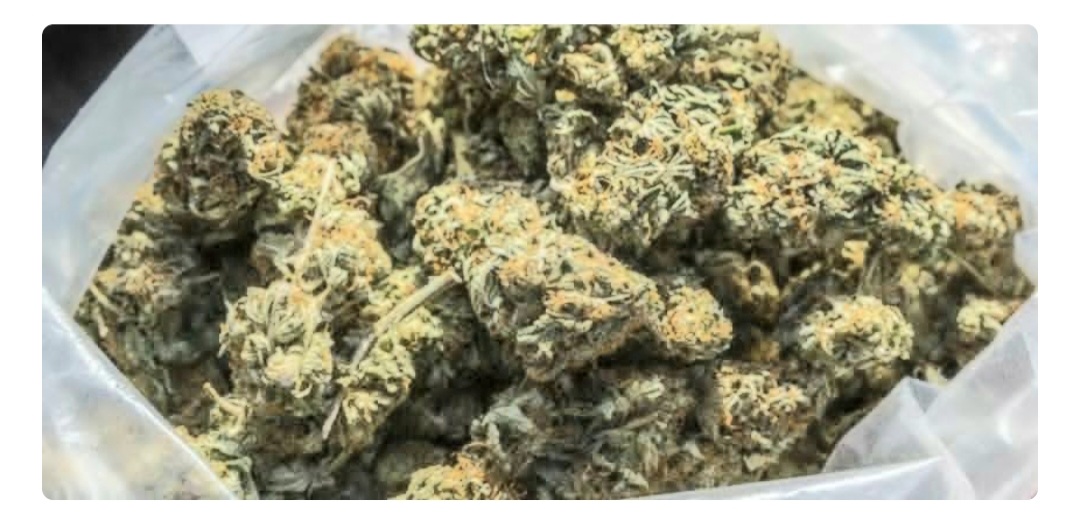 वेवारिसे अवस्थामा ९२१ किलो ६६ ग्राम गाँजा बरामद