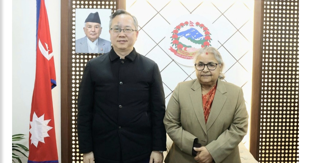 Websoft IT Nepal Pvt. Ltd.