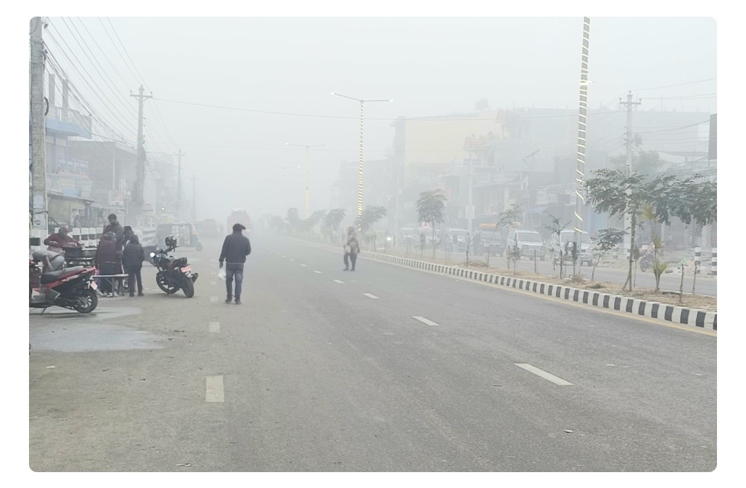 Websoft IT Nepal Pvt. Ltd.