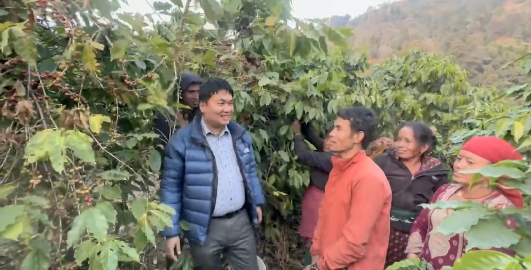 “हामीले नगरे कस्ले गर्ने, अहिले नगरे कहिले गर्ने” — कफि उत्पादनमार्फत समृद्धितर्फ उन्मुख महाभारत