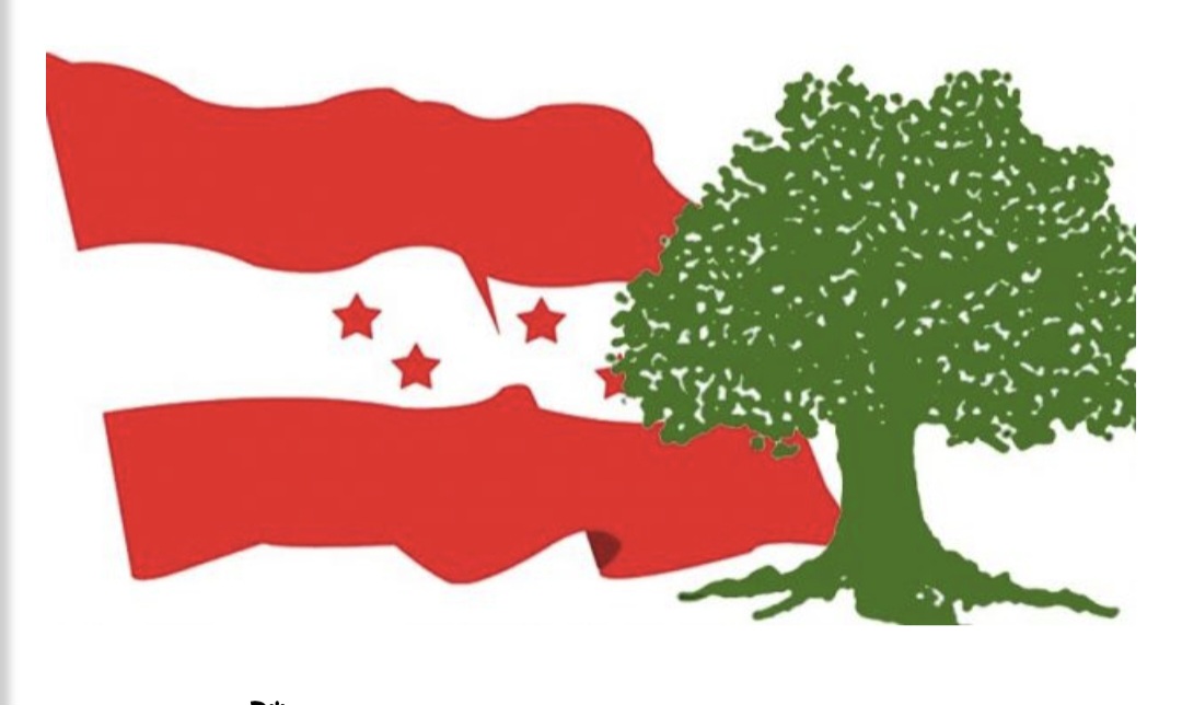 कांग्रेसमा विशेष महाधिवेशन विवाद, पार्टी विभाजनको चर्चा