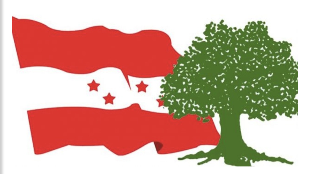 कांग्रेस विशेष महाधिवेशनको विषय पेचिलो, पक्षधर र विरोधी विभाजित