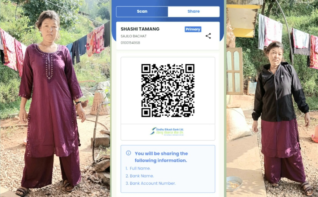 Websoft IT Nepal Pvt. Ltd.