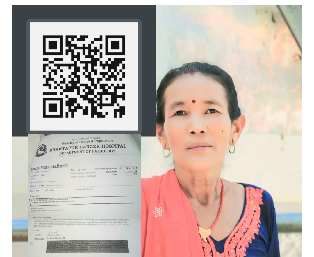 Websoft IT Nepal Pvt. Ltd.