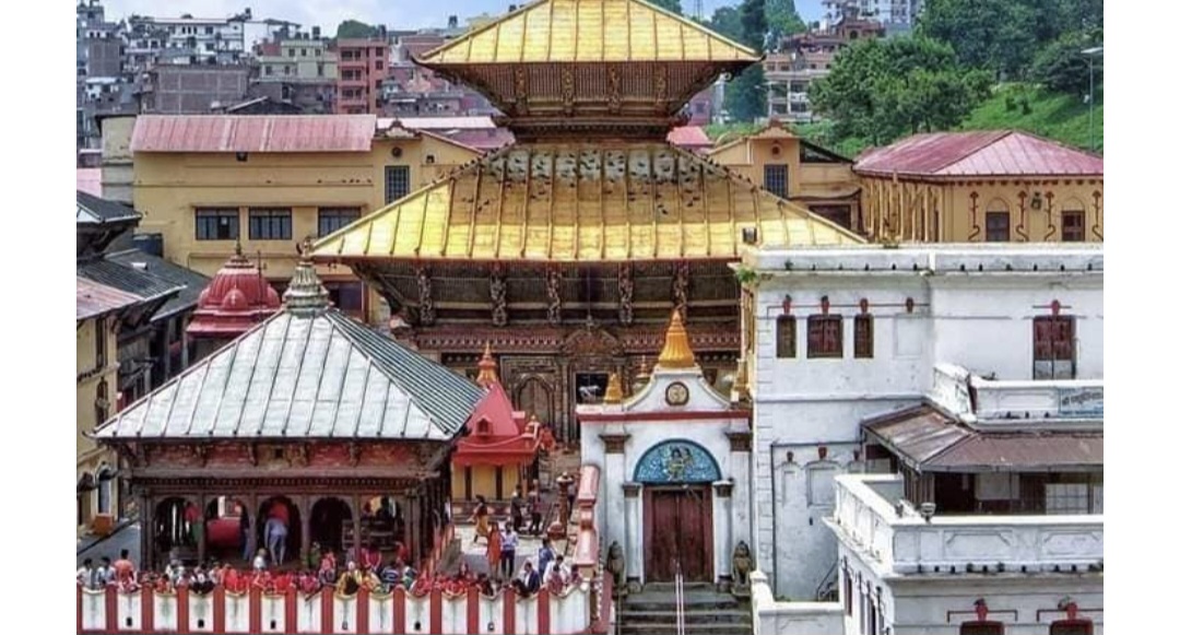 Websoft IT Nepal Pvt. Ltd.