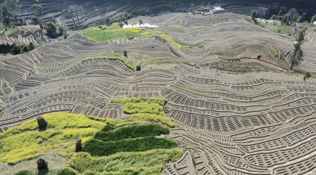 Websoft IT Nepal Pvt. Ltd.