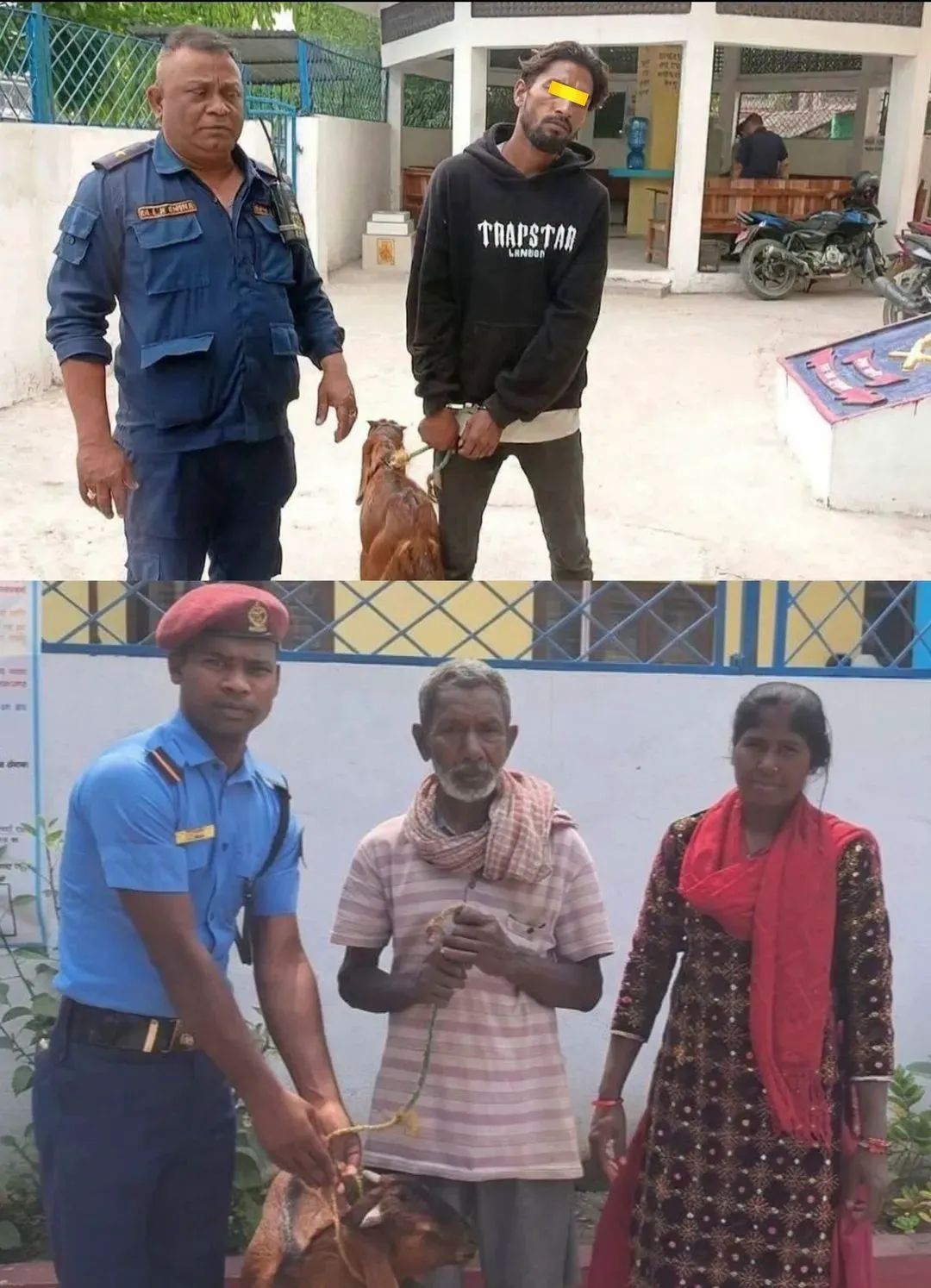 बोका चोर पक्राउ परेपछि किसानलाई राहत, हराएको बोका फिर्ता