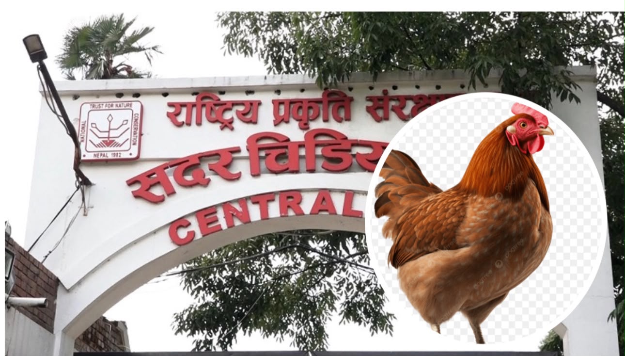 बर्डफ्लु नियन्त्रणपछि जावलाखेलको सदर चिडियाखाना आजदेखि पुनः सञ्चालनमा