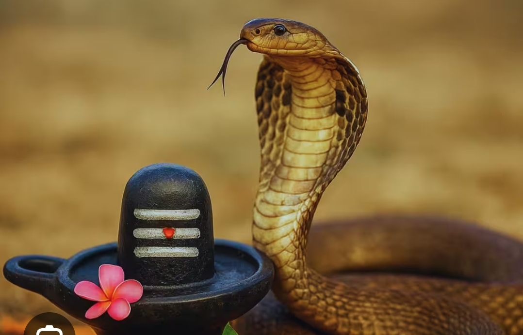 नाग पञ्चमी पर्व आज श्रद्धा र भक्तिपूर्वक मनाइँदै